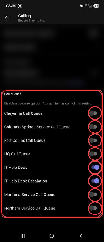 teams_mobile_step3_call_queue_toggles_blurred_circled.jpg